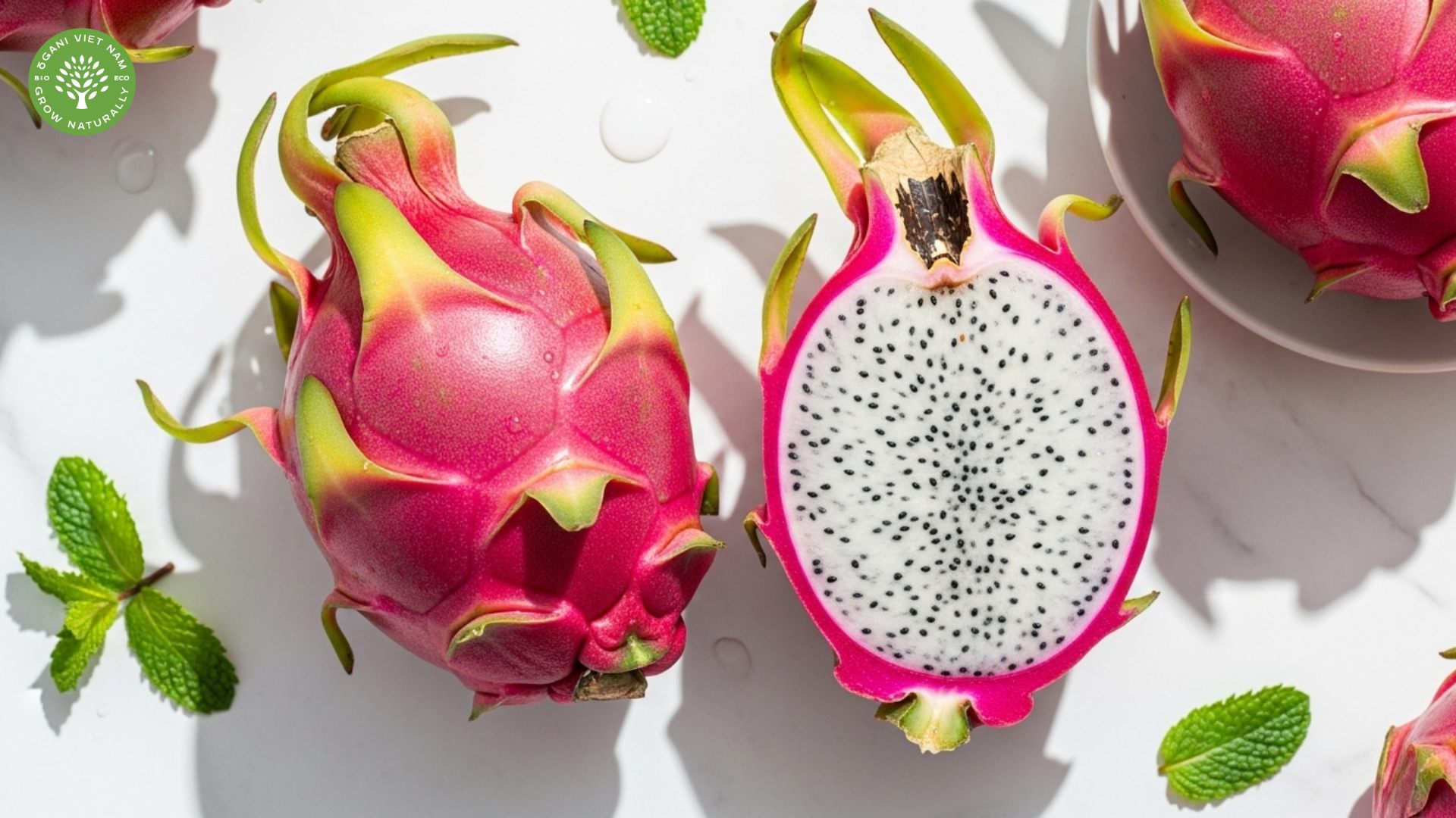 uses of pink dragon fruit
