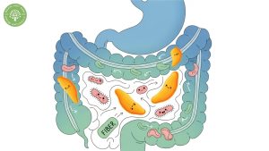 what are dried mangoes good for