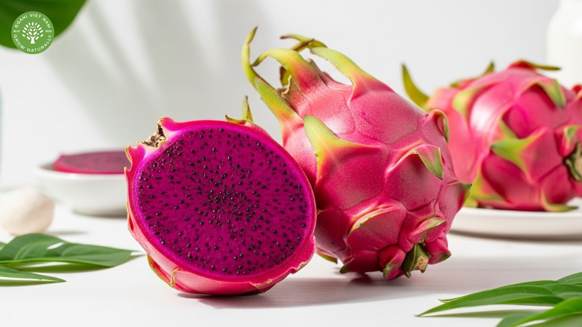 What Is Pink Pitaya: Your Guide to This Superfruit 1 what is pink pitaya