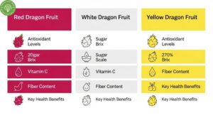 why are dragon fruits different colors