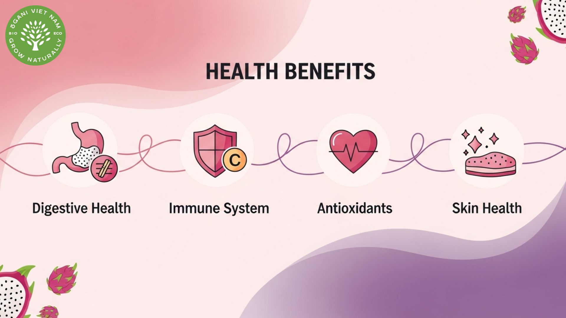 dehydrate dragon fruit