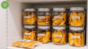 dehydrated mango recipes